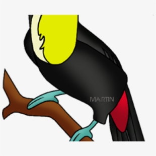 Toucan Clipart Rainforest Snake.