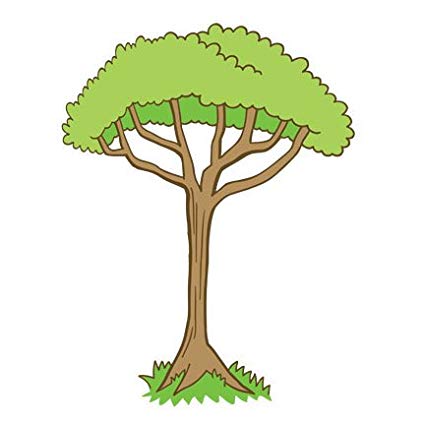 Cartoon Jungle Tree & Free Cartoon Jungle Tree.png.