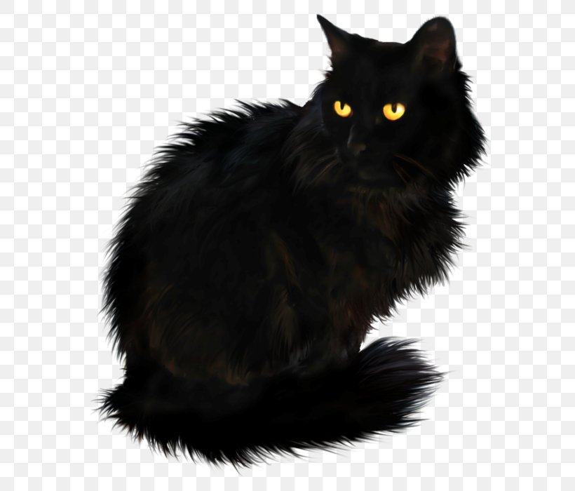 Persian Cat British Longhair Maine Coon Clip Art, PNG.