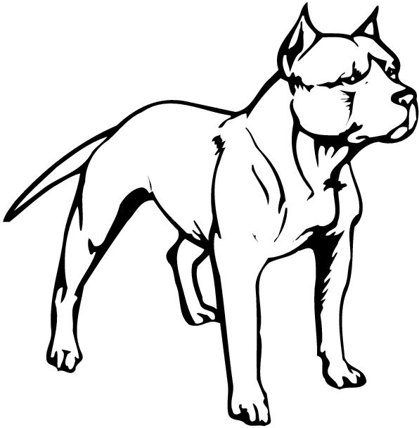 Two Pit Bull Clipart.