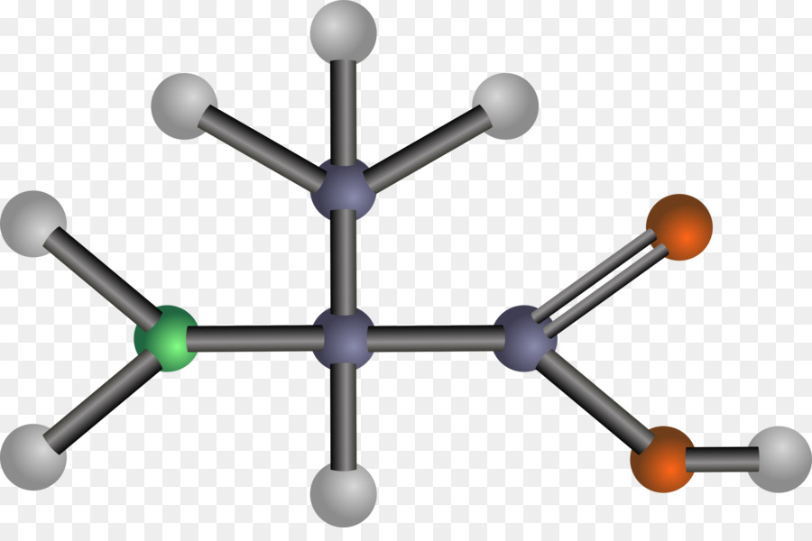 amino acids clipart Amino acid Asparagine Amine clipart.