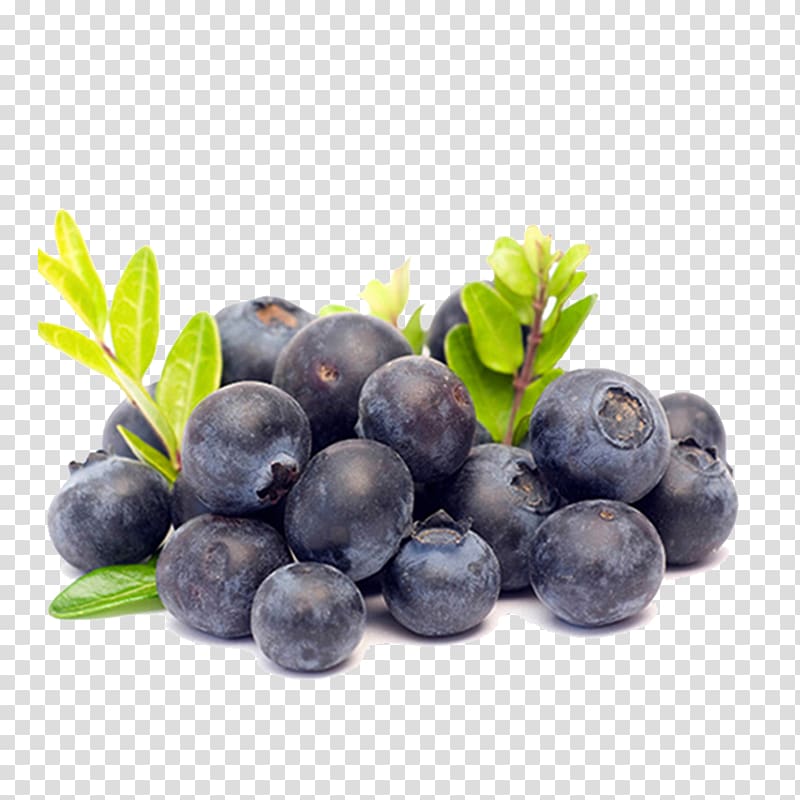 Juice Smoothie Vaccinium corymbosum Health Amora, Blueberry.