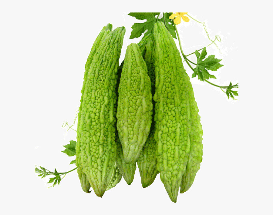 Transparent Gourd Png.