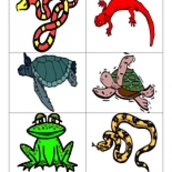 Free Amphibian Cliparts, Download Free Clip Art, Free Clip.