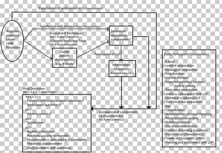 Prosthesis Amputation Limb Information Essay PNG, Clipart.