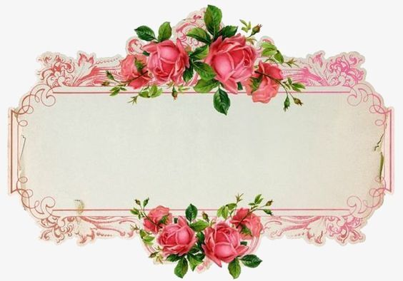 Antique rose blank border clipart Transparent pictures on F.