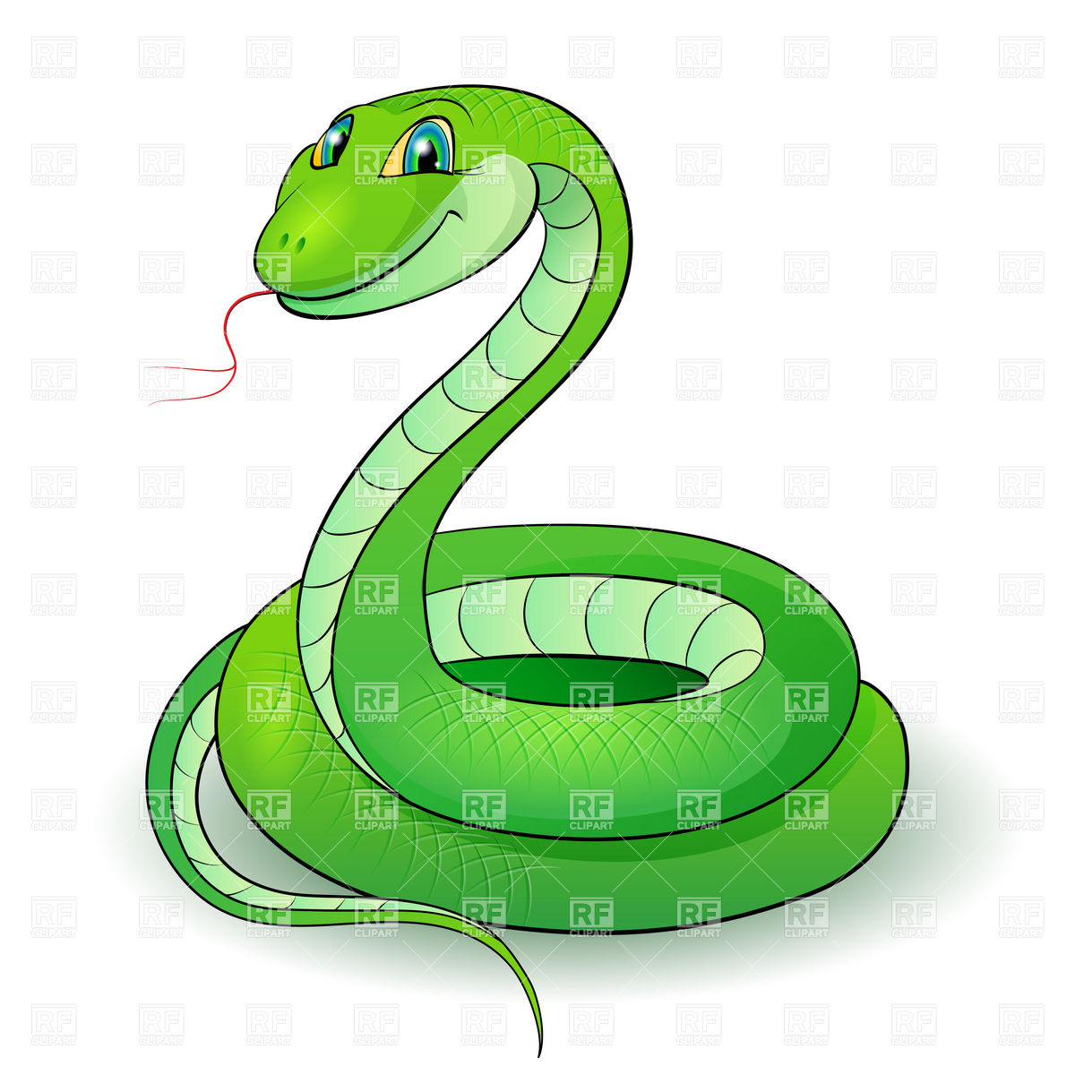 Anaconda Vectors: Images & Graphics.