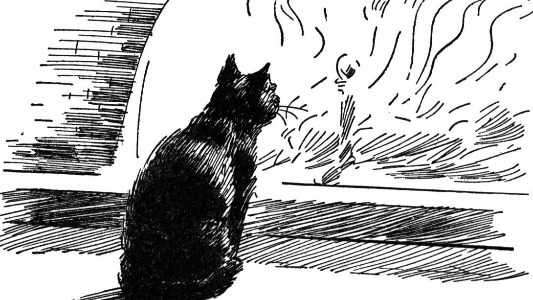 The Black Cat\'—Plot, Symbols, Themes, and Key Quotes.