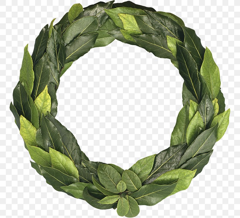 Ancient Greece Laurel Wreath Leaf Olive Wreath, PNG.