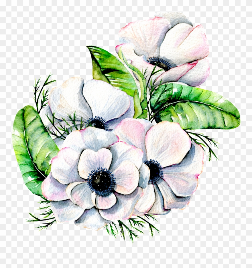 Hand Painted Elegant White Flower Png Transparent.