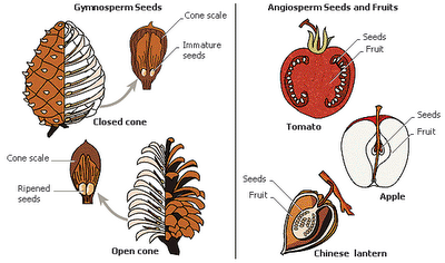 arthropodsbio11cabe.