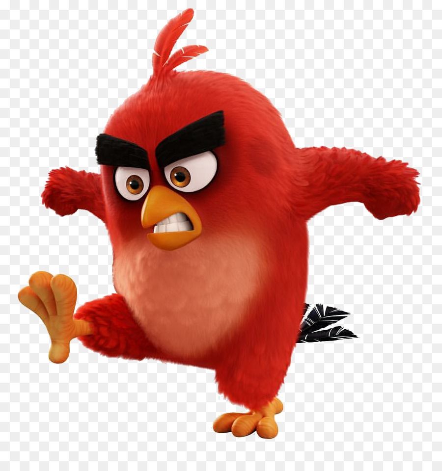 Angry Bird png download.