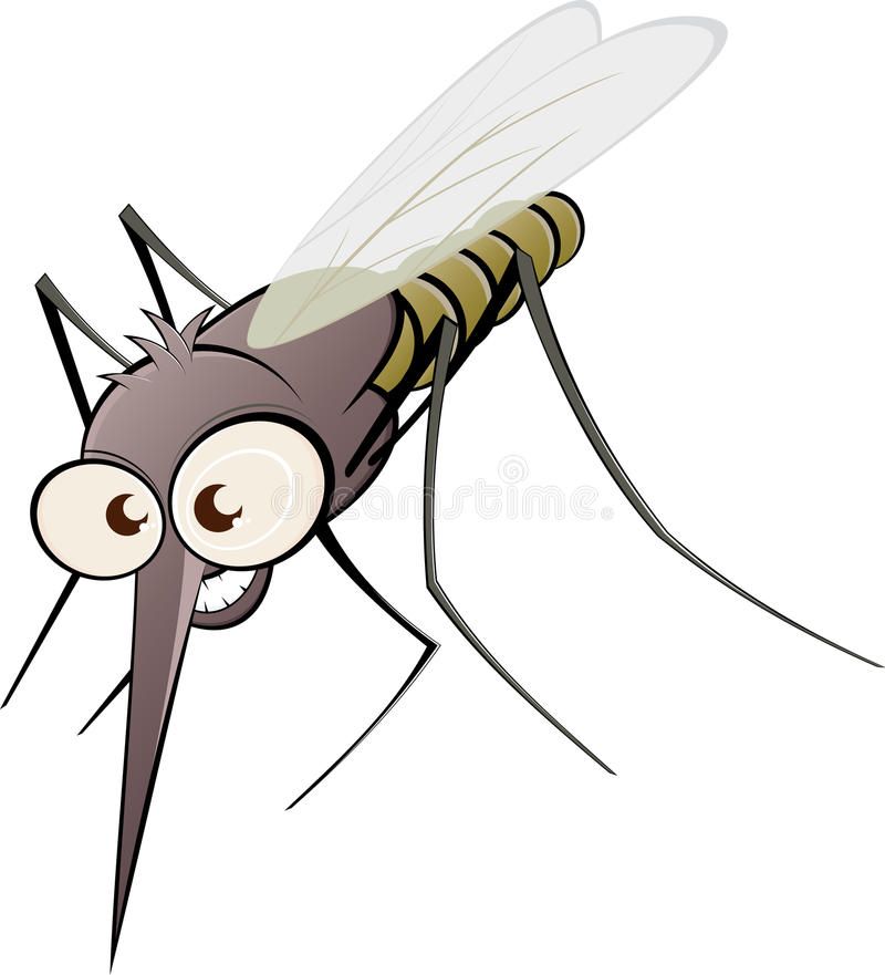 Angry cartoon mosquito. Illustration of angry cartoon.