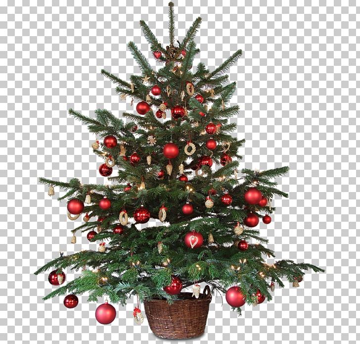 Christmas Decoration Animated Film Christmas Tree PNG, Clipart.