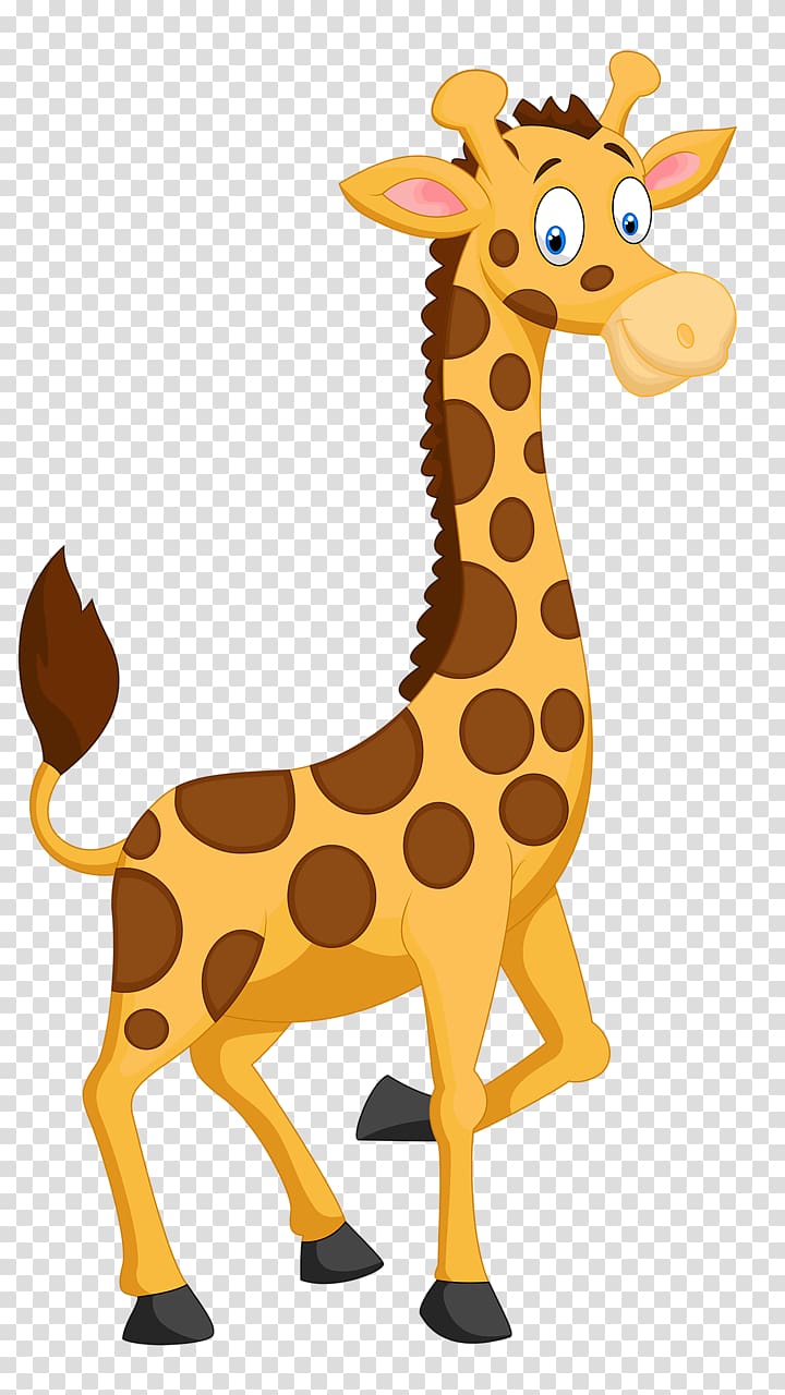 Giraffe , Funny giraffe transparent background PNG clipart.