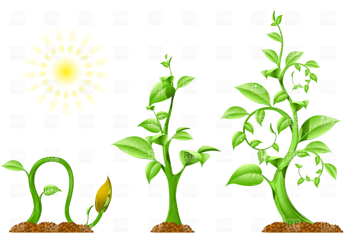 Free Flower Growing Cliparts, Download Free Clip Art, Free.