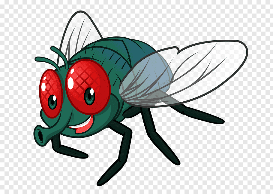 Green and red fly illustration, Cartoon Fly, Cute little.