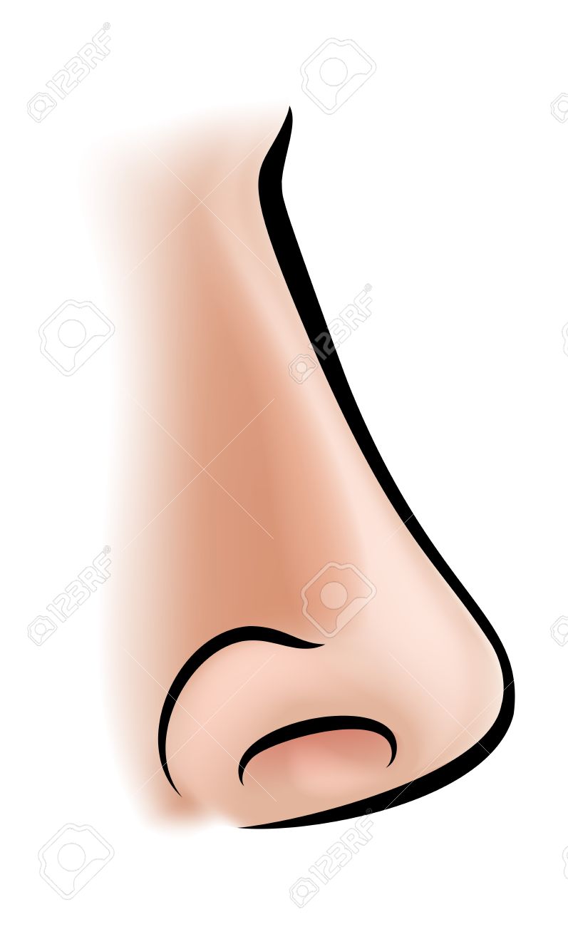 Cartoon Nose Clipart.