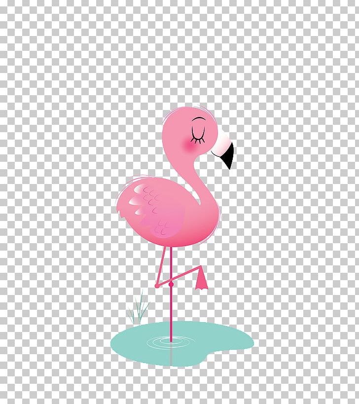 Bird Flamingos Animation Icon PNG, Clipart, Animal, Animals.