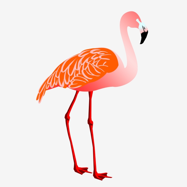 Flamingo Animal Illustration Watercolor Animal Long Legs, Hand.