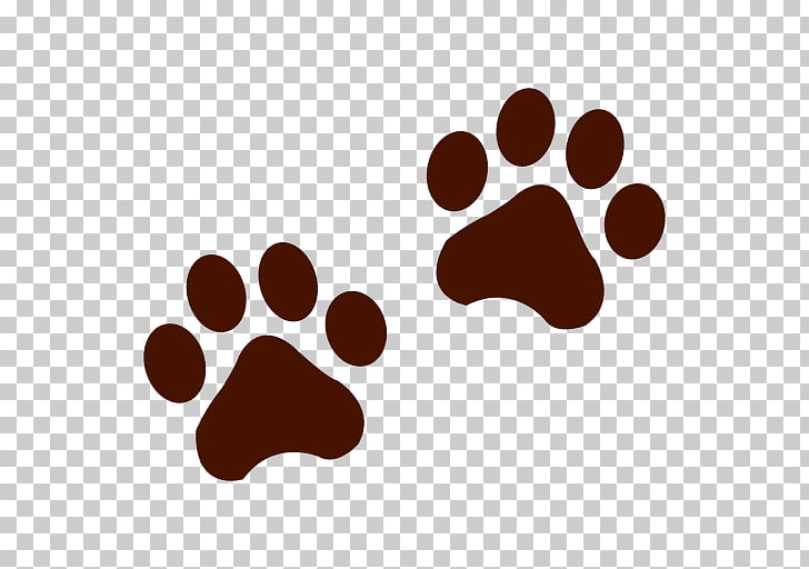 Bear Raccoon Tiger Animal track , footprint PNG clipart.