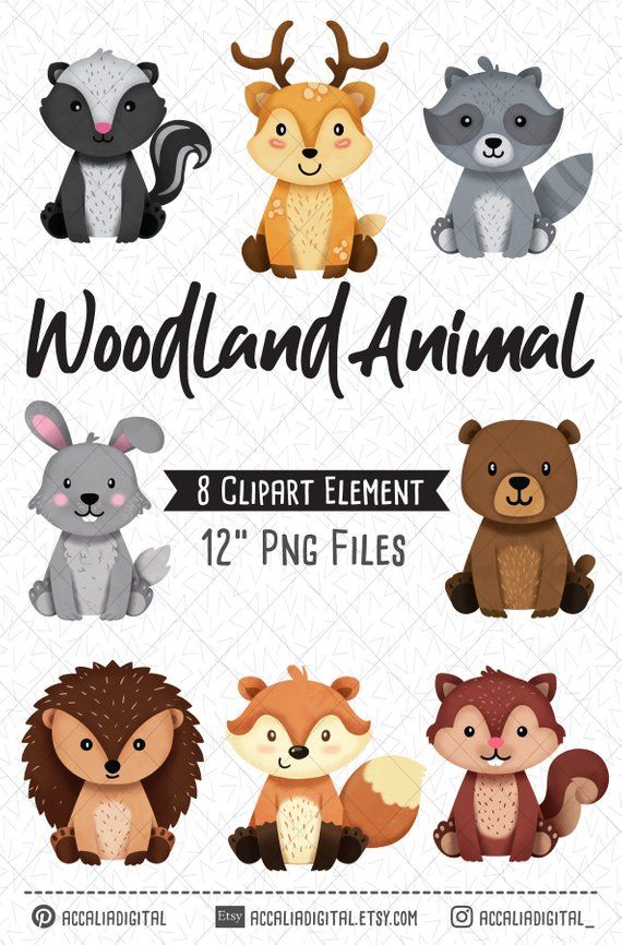 Woodland animals Clipart, Raccoon, Fox, Forest Friends.