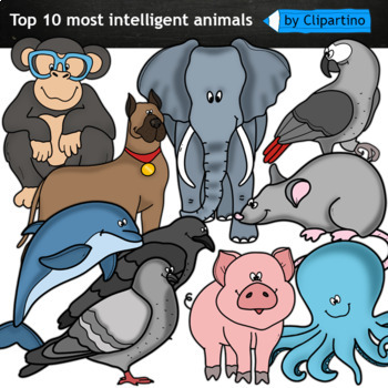 Top 10 of the Most Intelligent Animals on Earth Clipart.