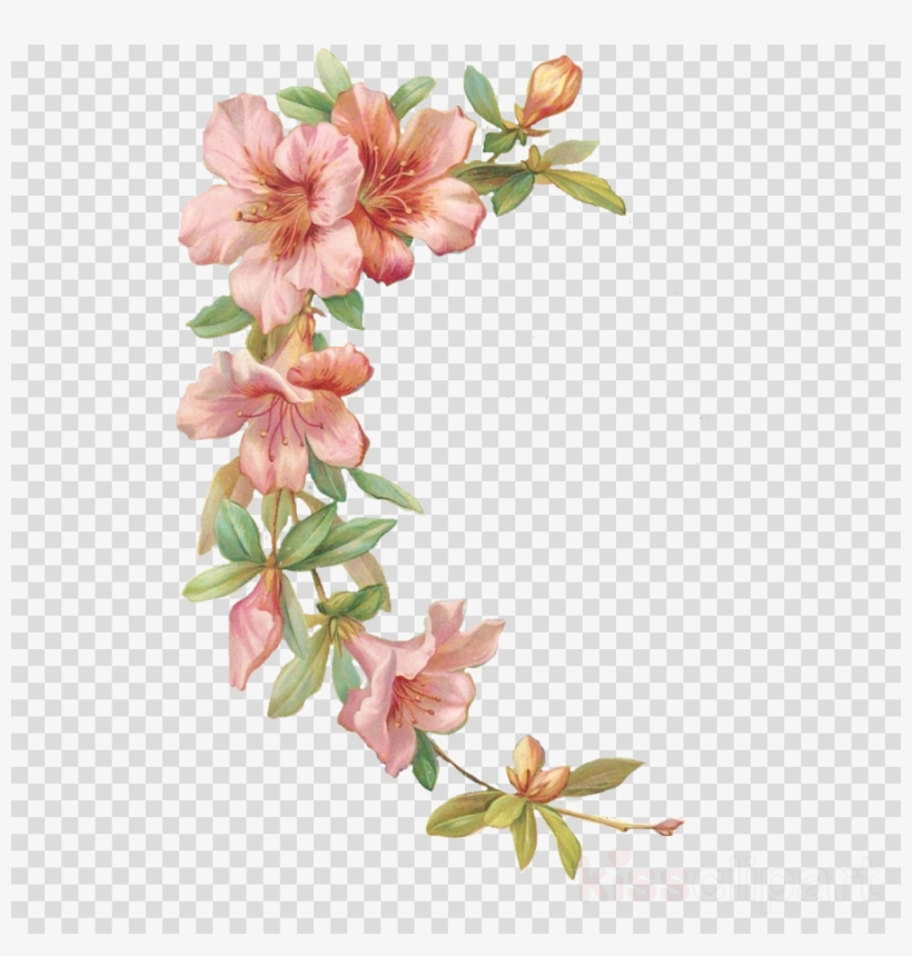 Flores Acuarela Png Con Marco Clipart Watercolor Painting.