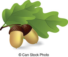 Acorn Illustrations and Clip Art. 5,385 Acorn royalty free.