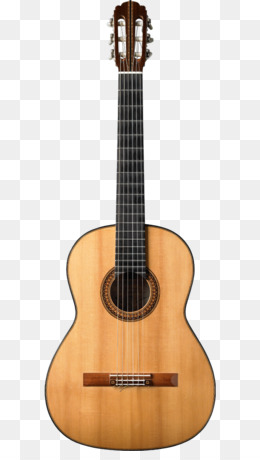 Taylor Guitars PNG and Taylor Guitars Transparent Clipart.