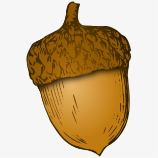 Nut Clipart Autumn Acorn.