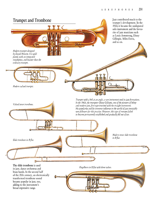 Pictures of aero phone instruments of the orchestra.