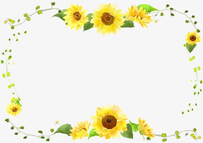 Sunflower Border Curve Decorative Foliage, Sunflower Clipart.