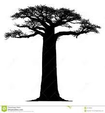 baobab tree drawing.