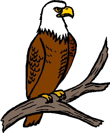 Free Cartoon Pictures Of Eagles, Download Free Clip Art.