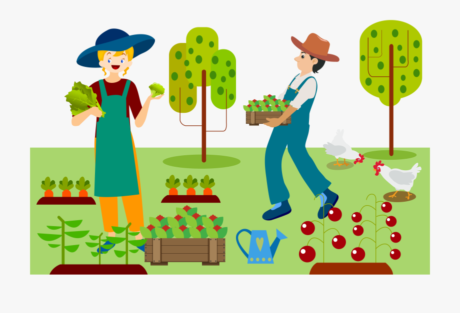 Agriculture clipart farming, Agriculture farming Transparent.