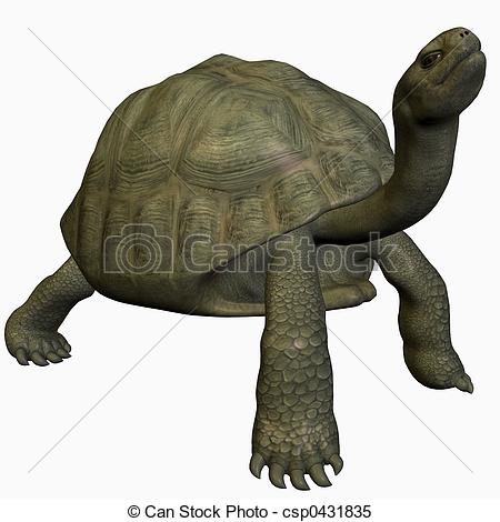 Giant tortoises Clip Art and Stock Illustrations. 64 Giant.