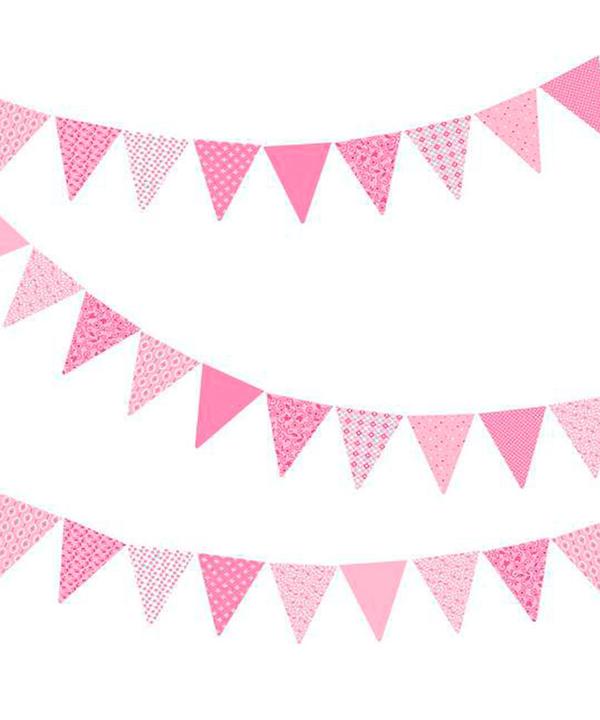 Pink Bunting (PB10).