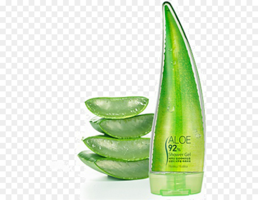 Aloe Vera png download.