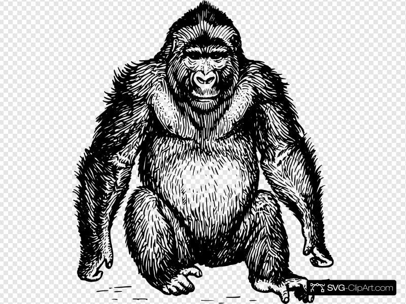 Ape Clip art, Icon and SVG.