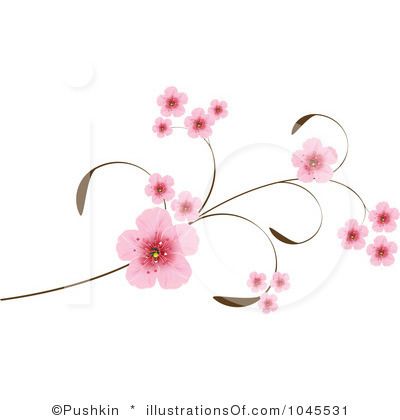 1000+ images about Cherry Blossom / Sakura on Pinterest.