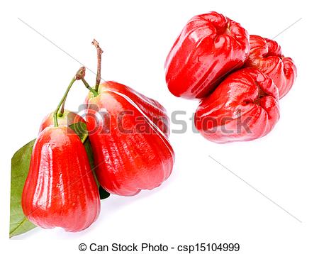 Stock Photographs of Rose apple fruit on white background.