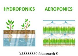 Aquaponics Clip Art Vectors.