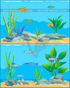 Colorful Cartoon Aquarium Fishes Set Promo Poster.