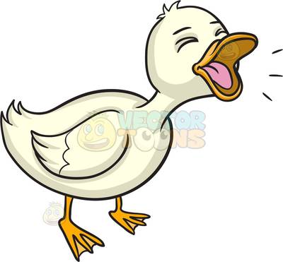 aquatic bird Clipart.