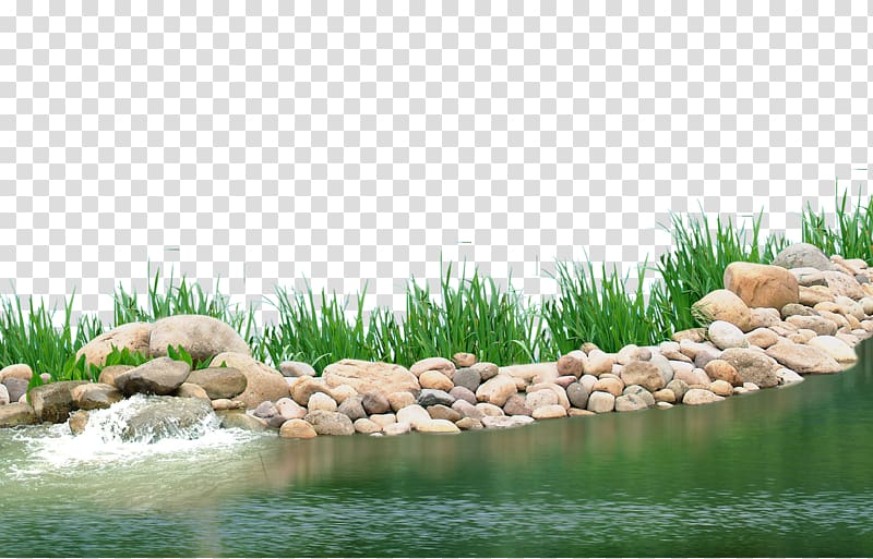 Gray rocks beside body of water, Pond Aquatic plant Lake, Lake.