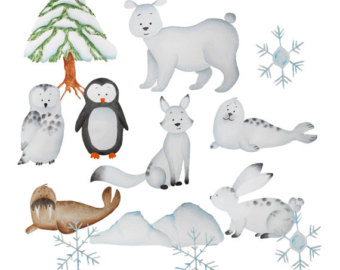 Arctic clipart.