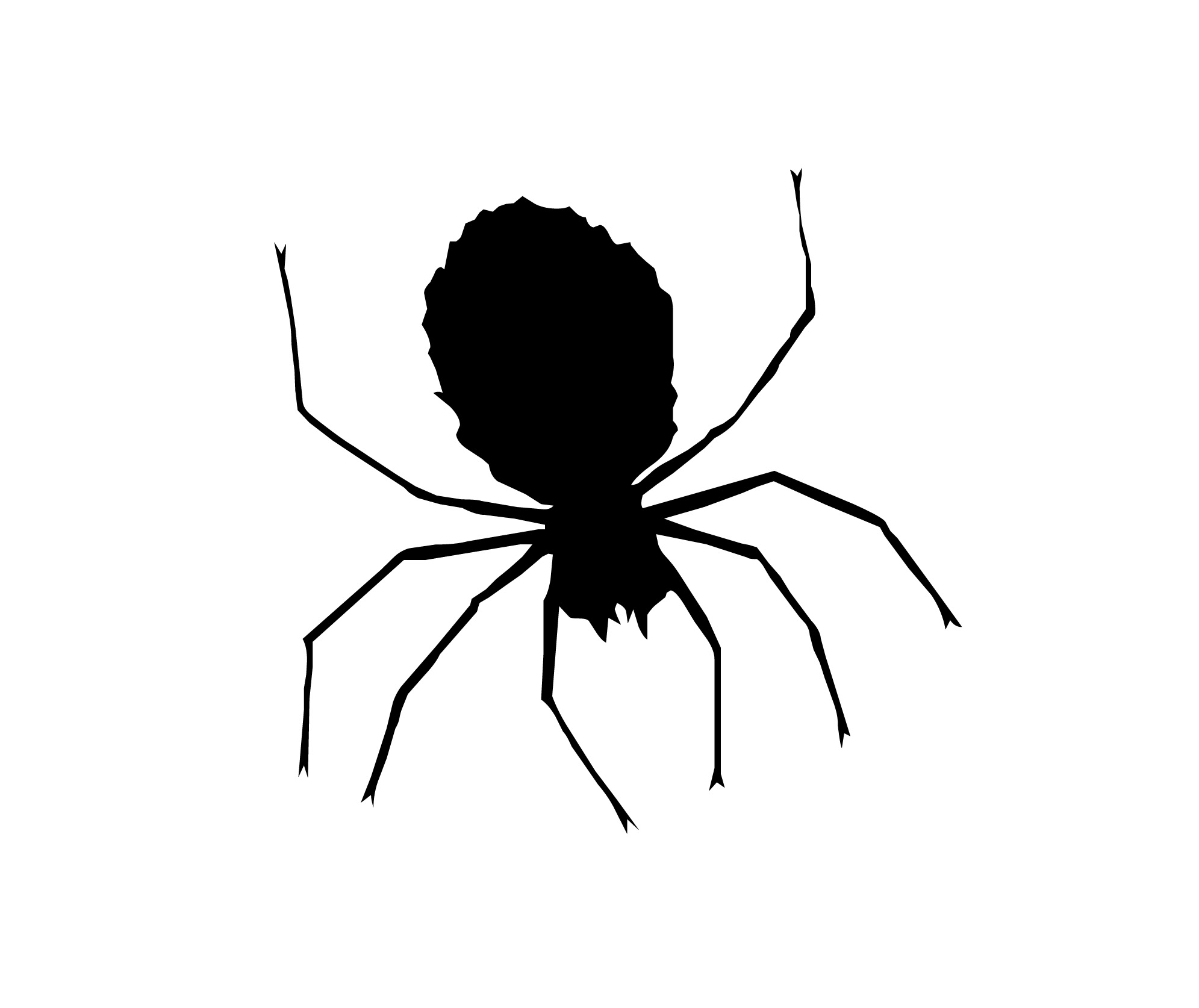 Spider Clipart Black And White.