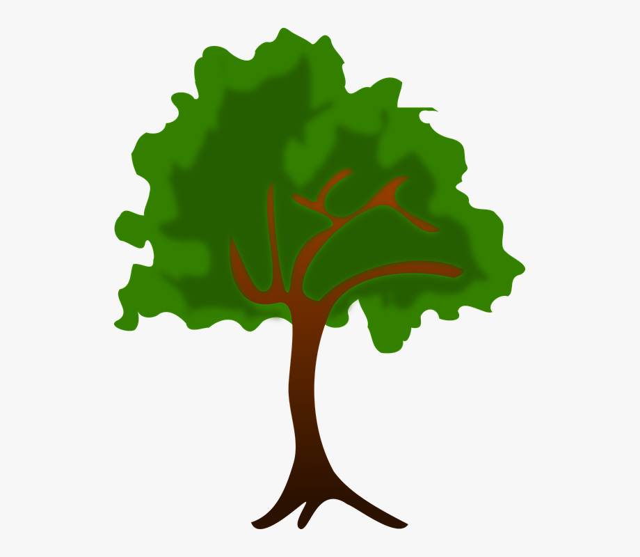 Clipart, Flora, Natur, Pflanze, Baum.