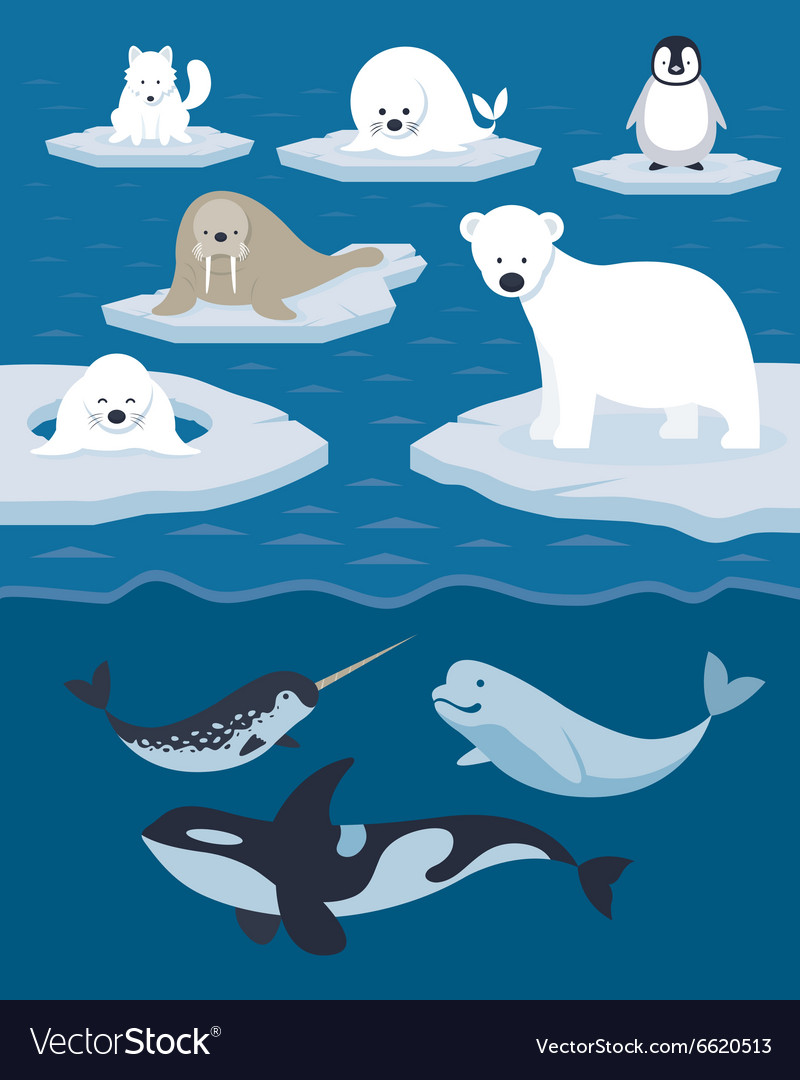 Arctic Animals Character and Background.